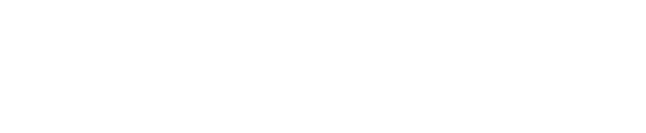 Saint Alphonsus, Founding Partner